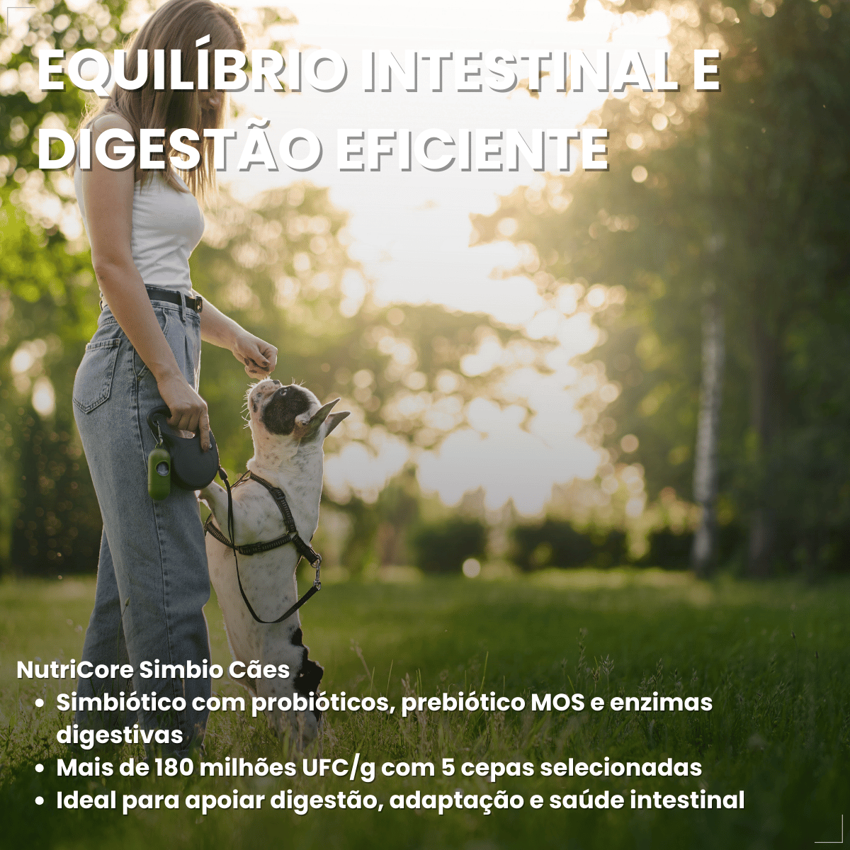 Suplemento vitaminar Cães ou gato Nuticor Simbio seringa 14g
