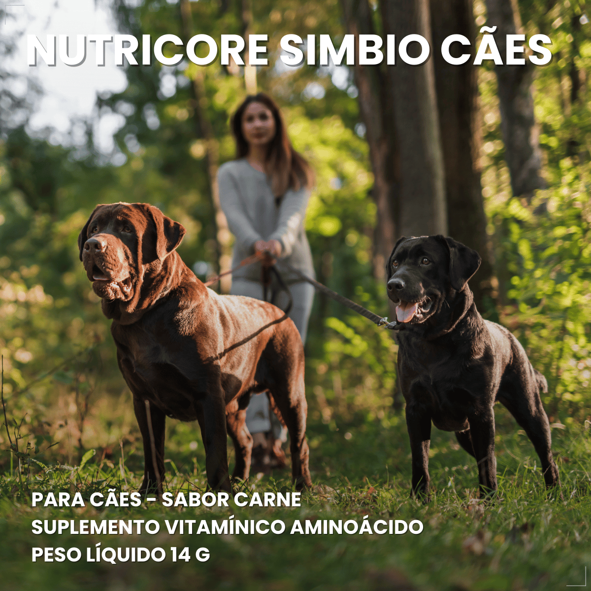 Suplemento vitaminar Cães ou gato Nuticor Simbio seringa 14g