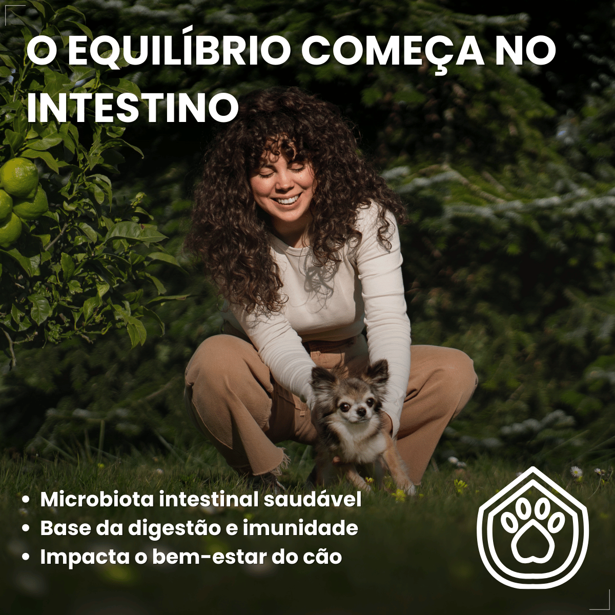 Suplemento vitaminar Cães ou gato Nuticor Simbio seringa 14g