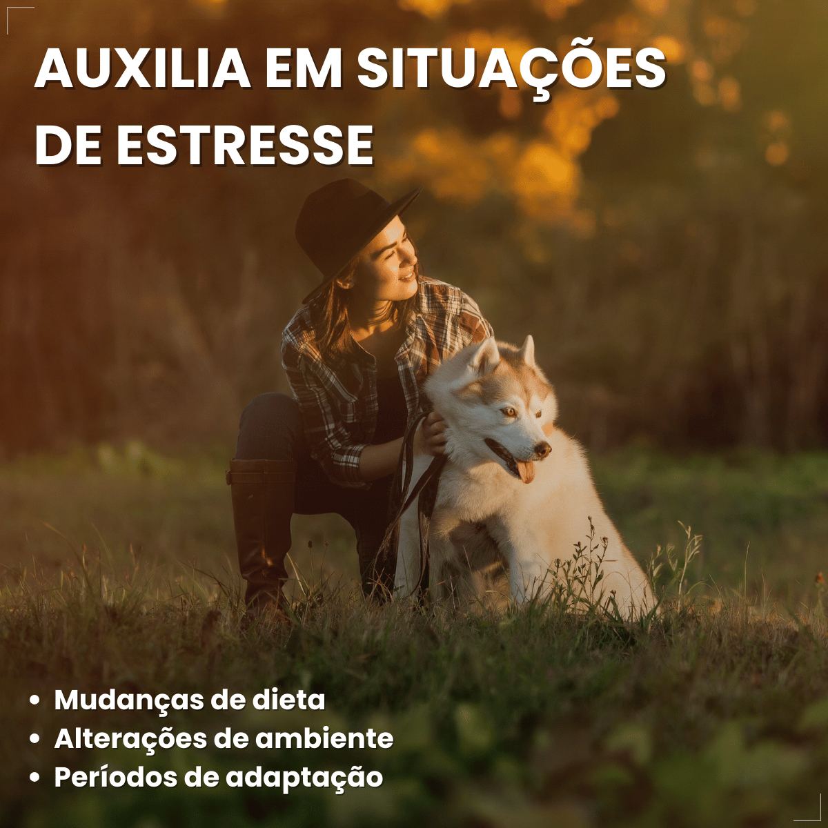 Suplemento vitaminar Cães ou gato Nuticor Simbio seringa 14g