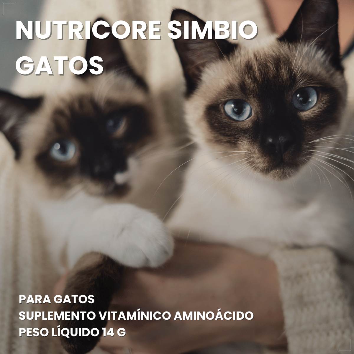Suplemento vitaminar Cães ou gato Nuticor Simbio seringa 14g