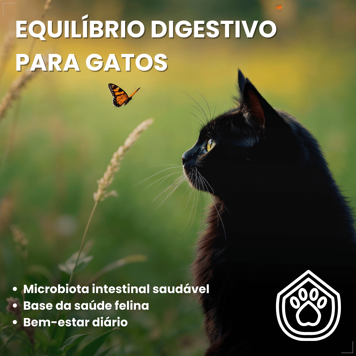 Suplemento vitaminar Cães ou gato Nuticor Simbio seringa 14g