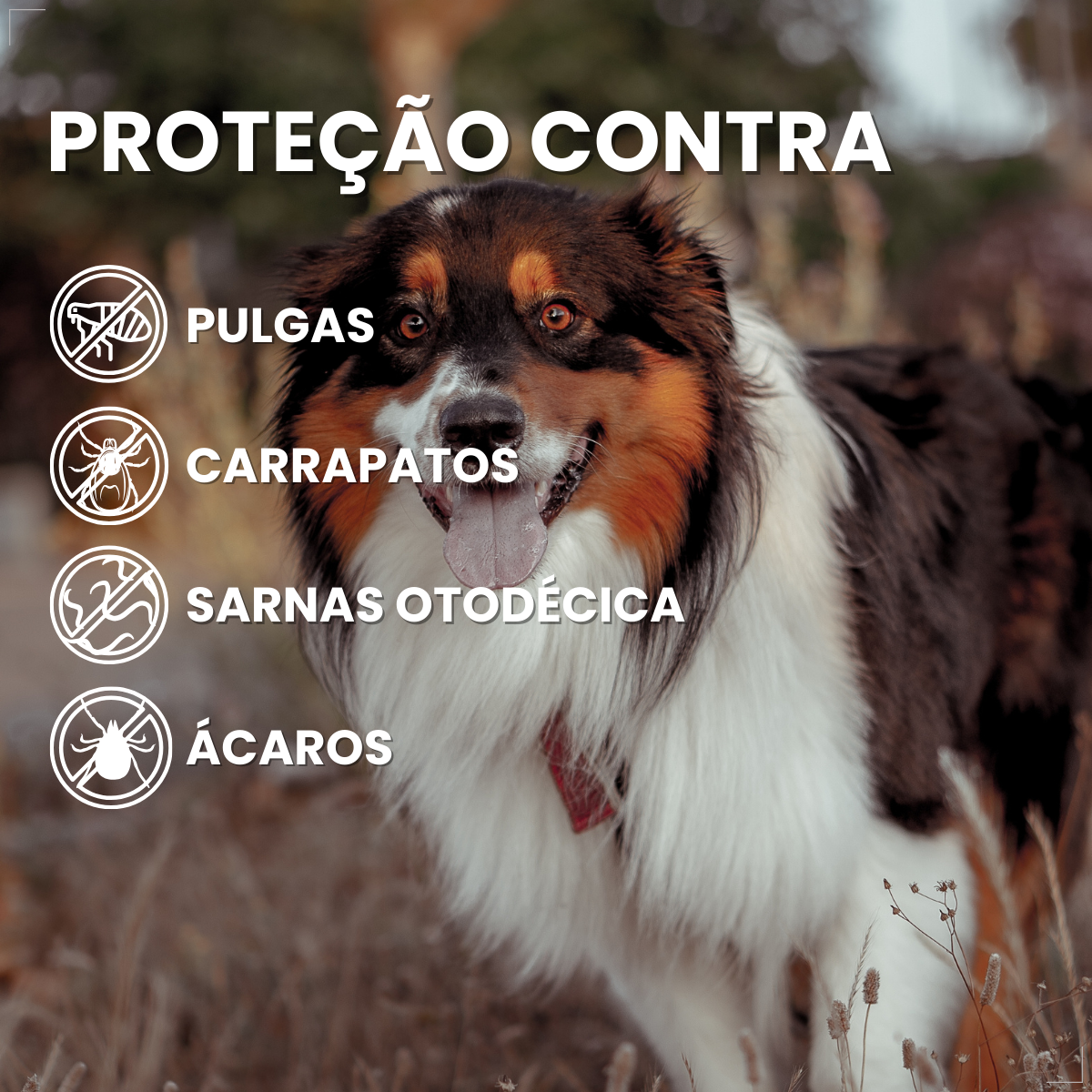 Antipulgas Nexgard Spectra Cães De 15,1 A 30 Kg 1 Comprimido