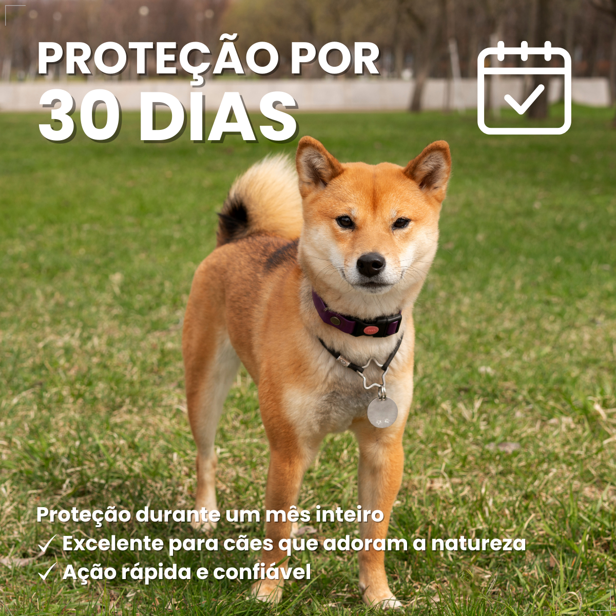 Antipulgas Nexgard Spectra Cães De 15,1 A 30 Kg 1 Comprimido