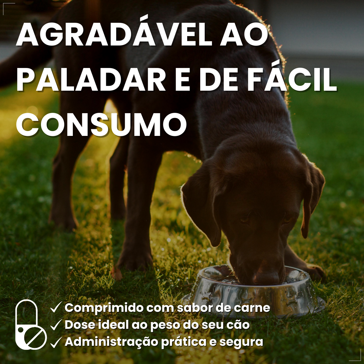 Antipulgas Nexgard Spectra Cães De 15,1 A 30 Kg 1 Comprimido