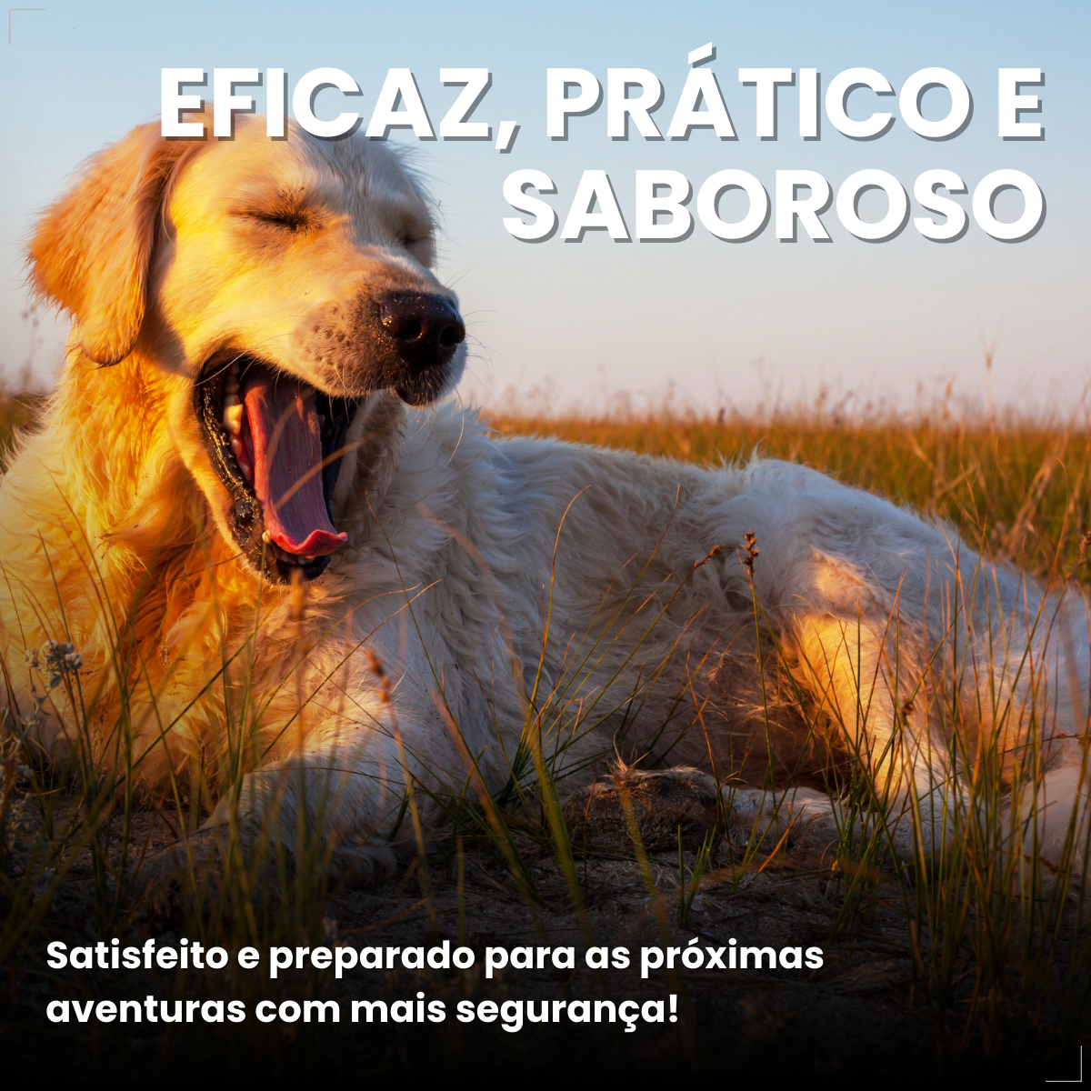 Antipulgas Nexgard Spectra para cães de 30 à 60kg 3 Comprimidos