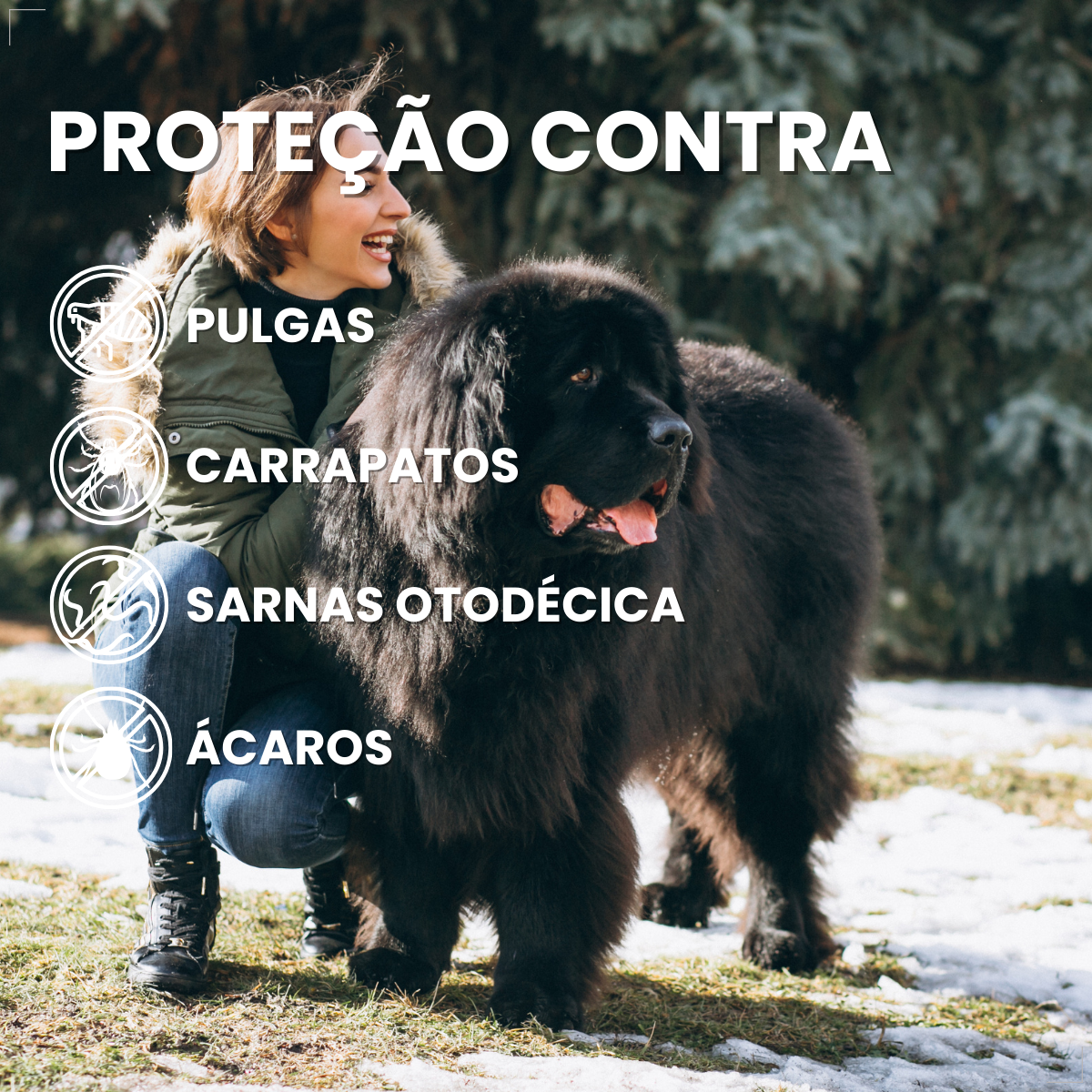 Antipulgas Nexgard Spectra para cães de 30 à 60kg 1 Comp