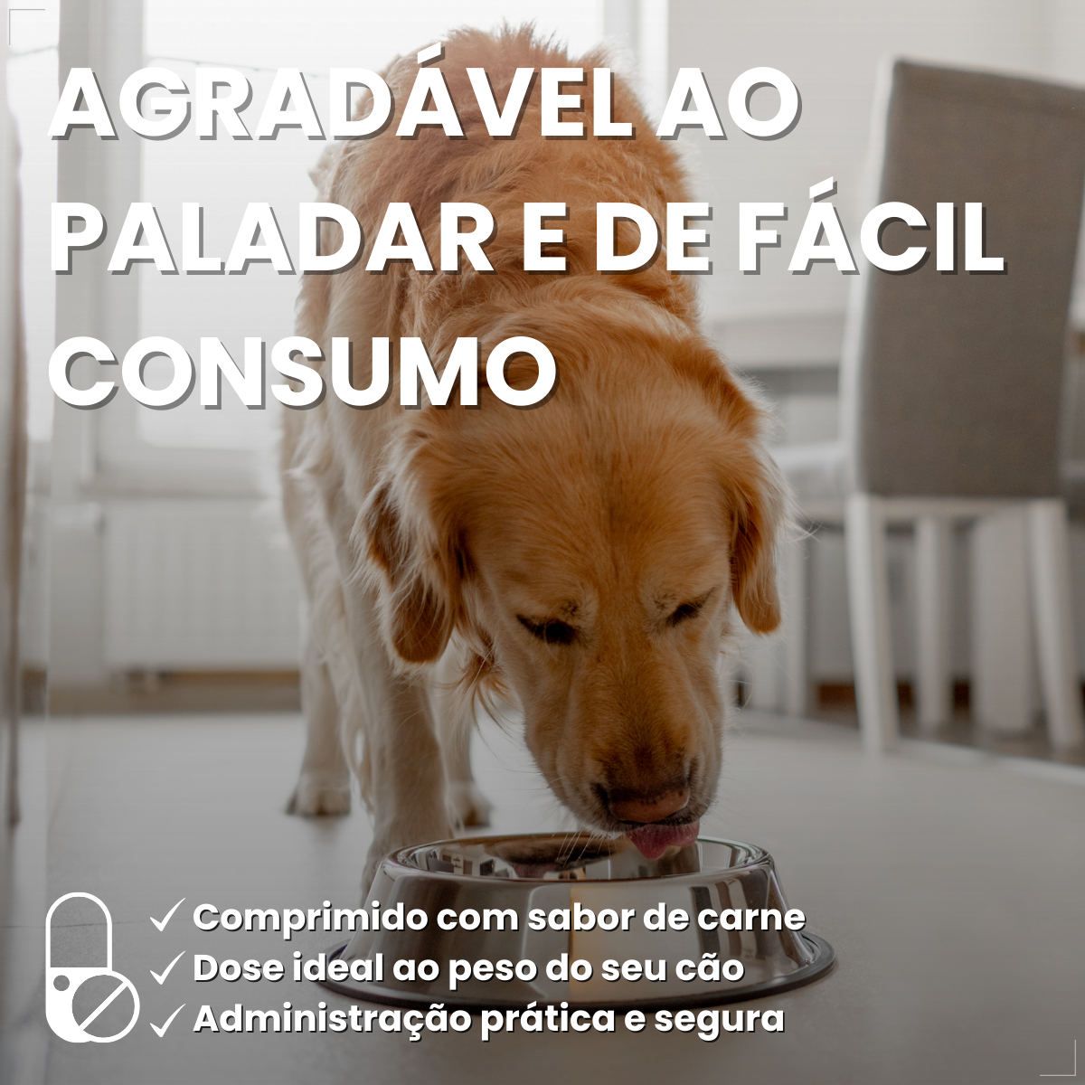 Antipulgas Nexgard Spectra para cães de 30 à 60kg 1 Comp