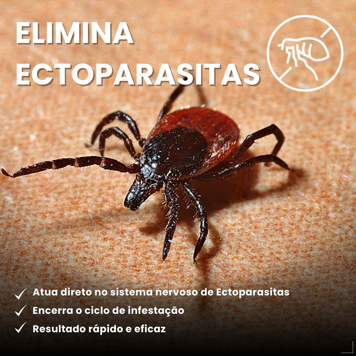 Antipulgas Nexgard Spectra para cães de 30 à 60kg 1 Comp