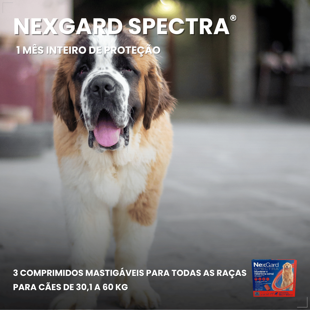 Antipulgas Nexgard Spectra para cães de 30 à 60kg 3 Comprimidos