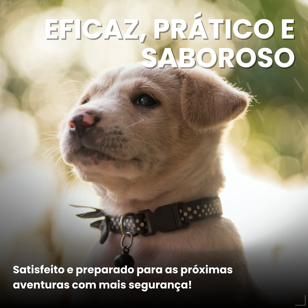 NexGard Antipulgas Spectra para cão 3,6kg a 7,5kg 3 Comprimidos