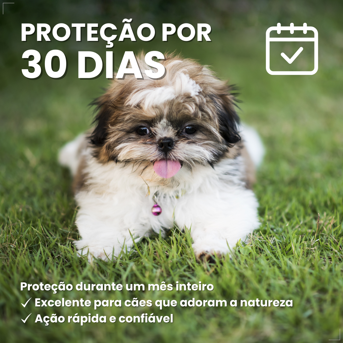 NexGard Antipulgas Spectra para cão 3,6kg a 7,5kg 3 Comprimidos