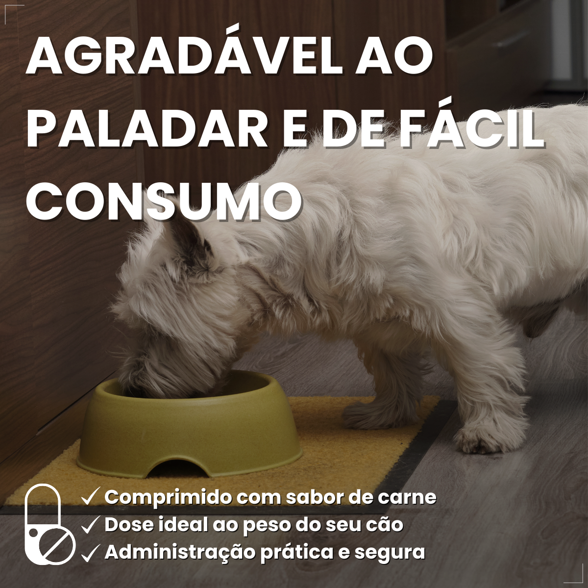 NexGard Antipulgas Spectra para cão 3,6kg a 7,5kg 3 Comprimidos