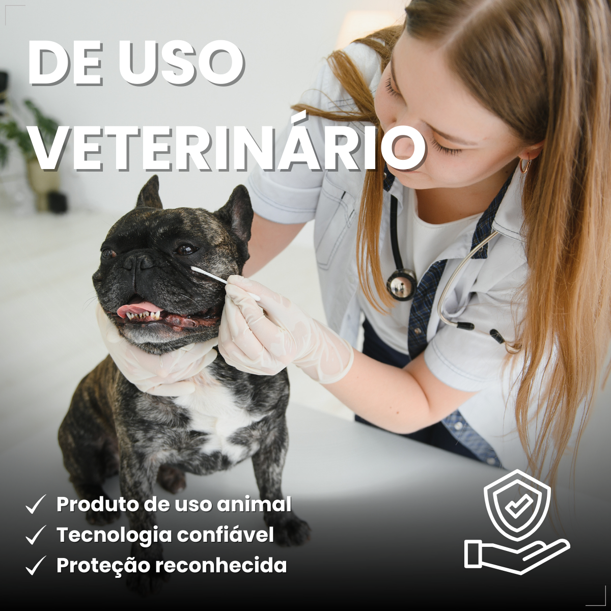 NexGard Antipulgas Spectra para cão 3,6kg a 7,5kg 3 Comprimidos