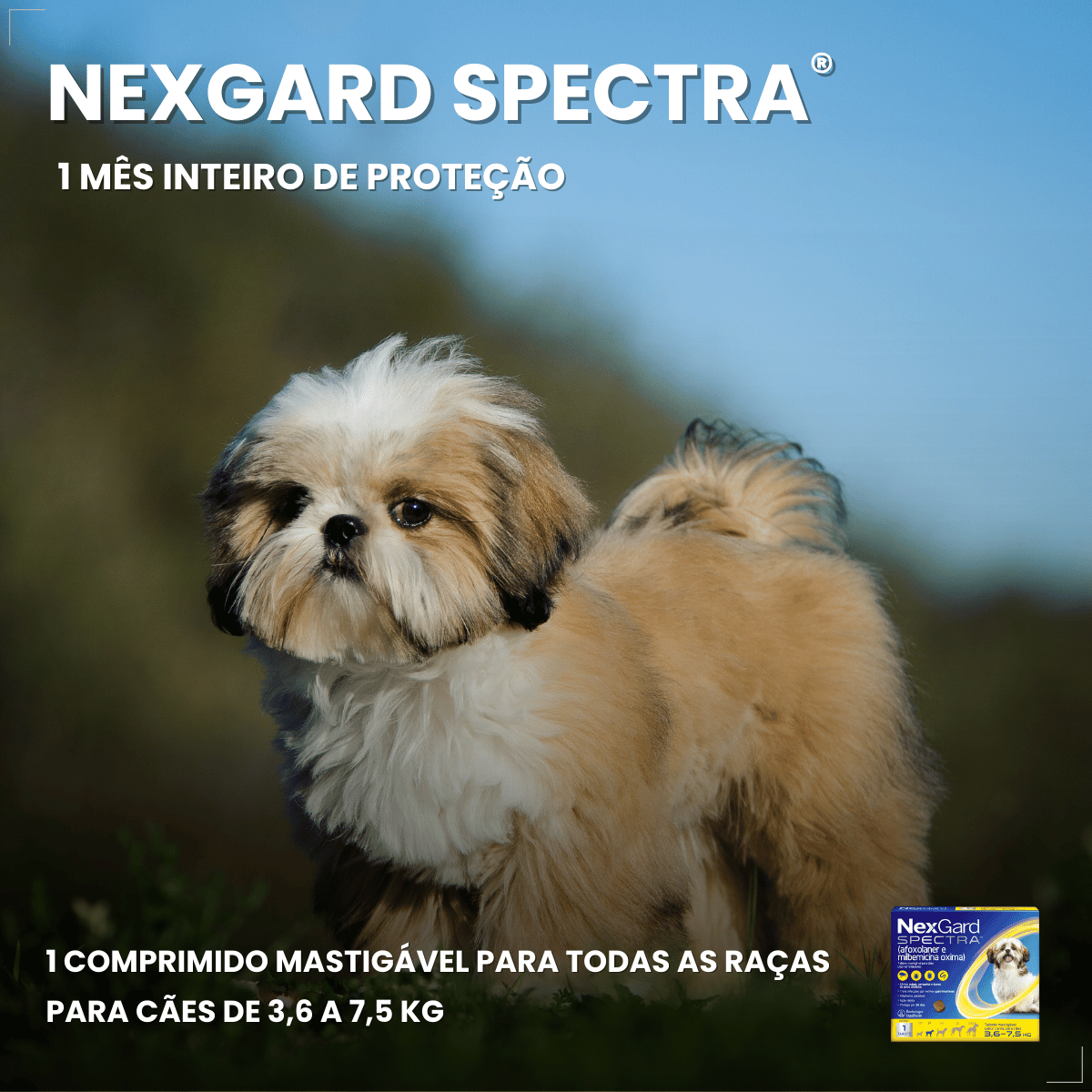NexGard Antipulgas Spectra para cão 3,6kg a 7,5kg 1 comprimidos