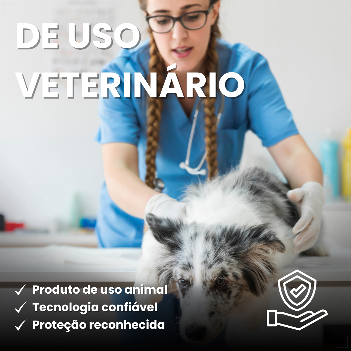 Nexgard Spectra Antipulga Carrapato Cães 7,6kg A 15kg 1 comprimido