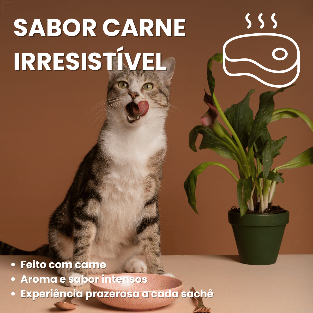 Kit 6 Petisco Origens Para Gatos Creminho 60g