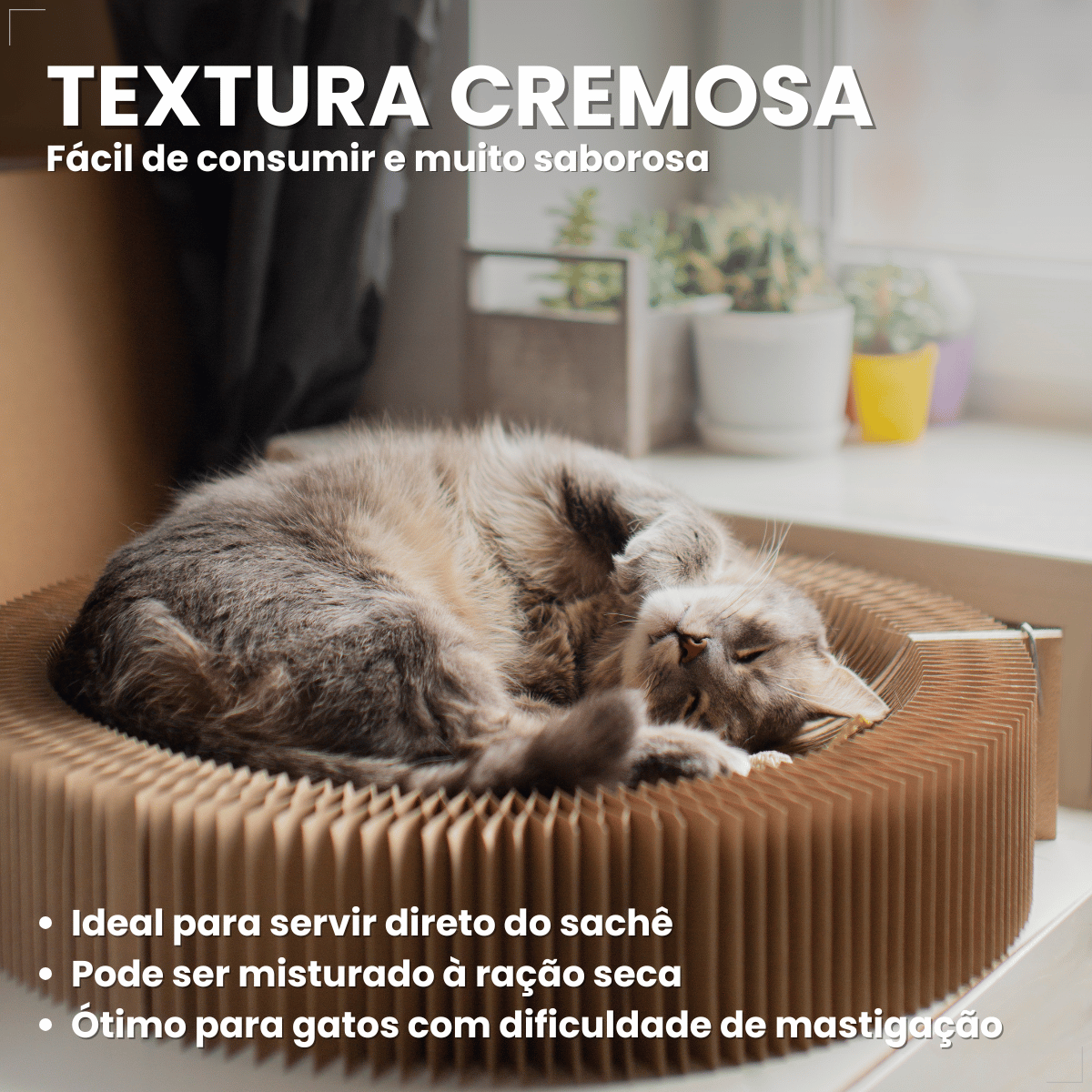 Petisco Origens Para Gatos Creminho 60g