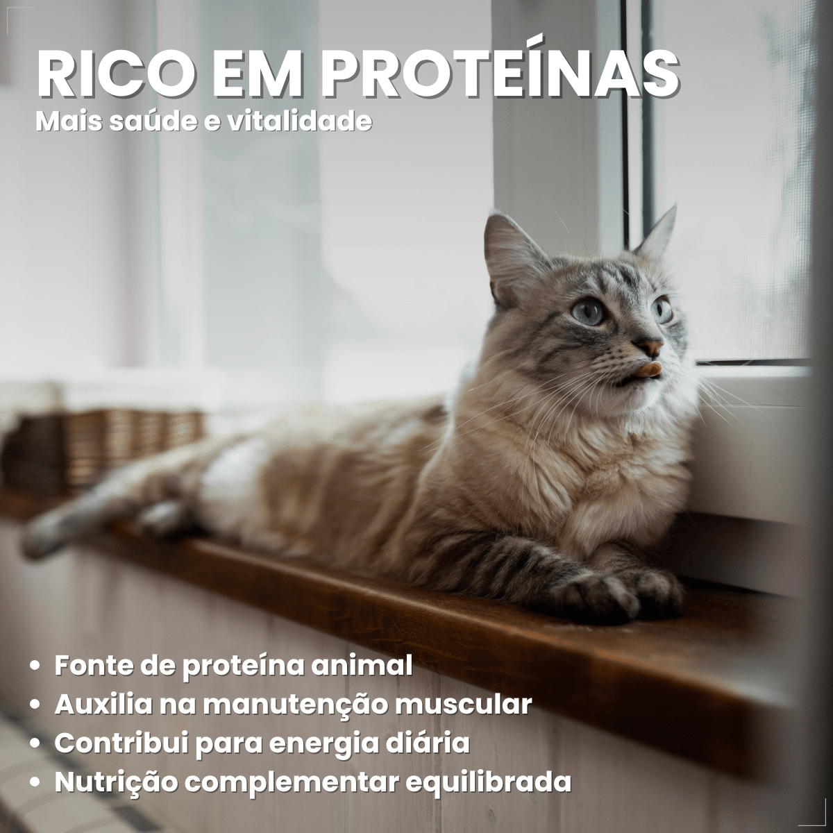 Petisco Origens Para Gatos Creminho 60g