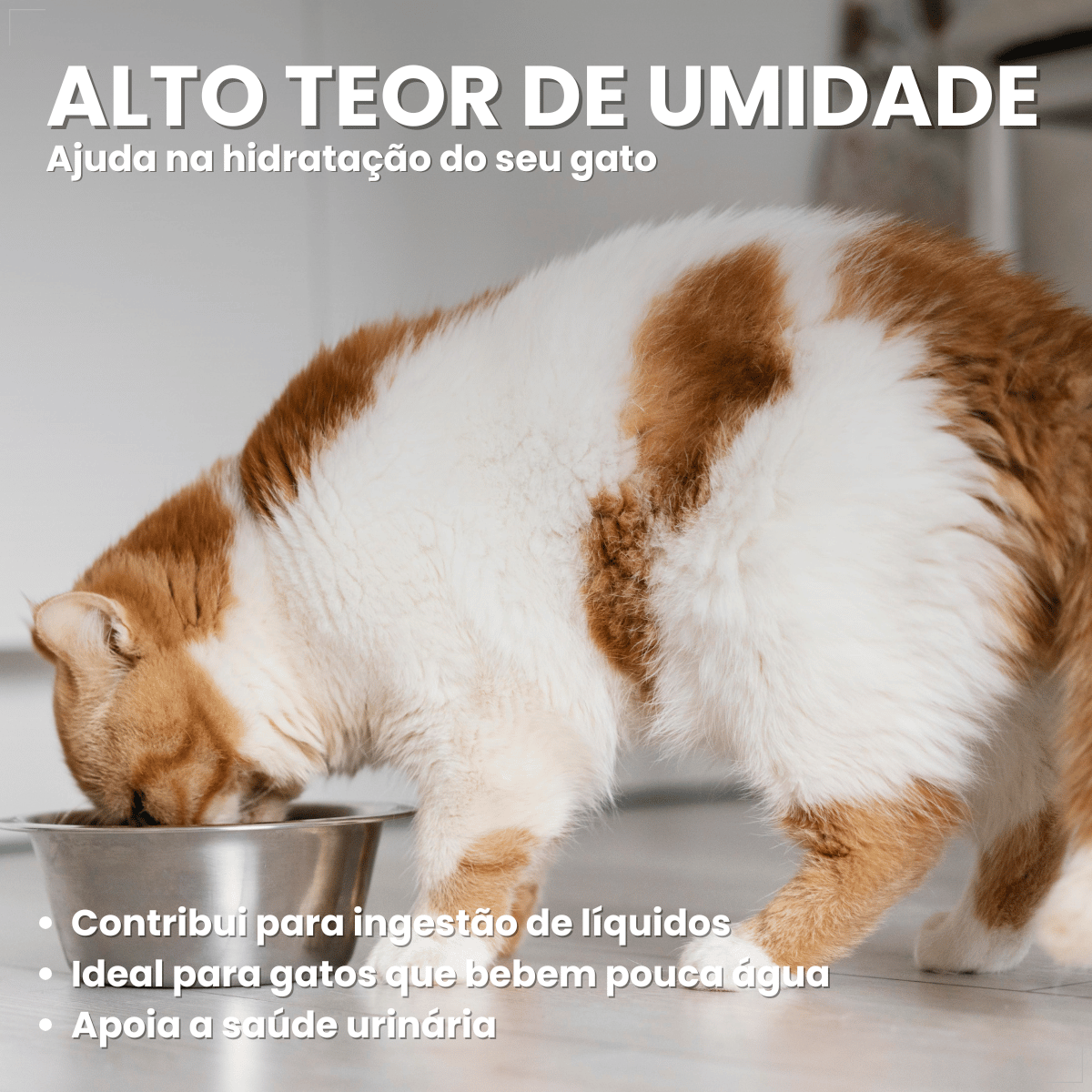 Petisco Origens Para Gatos Creminho 60g