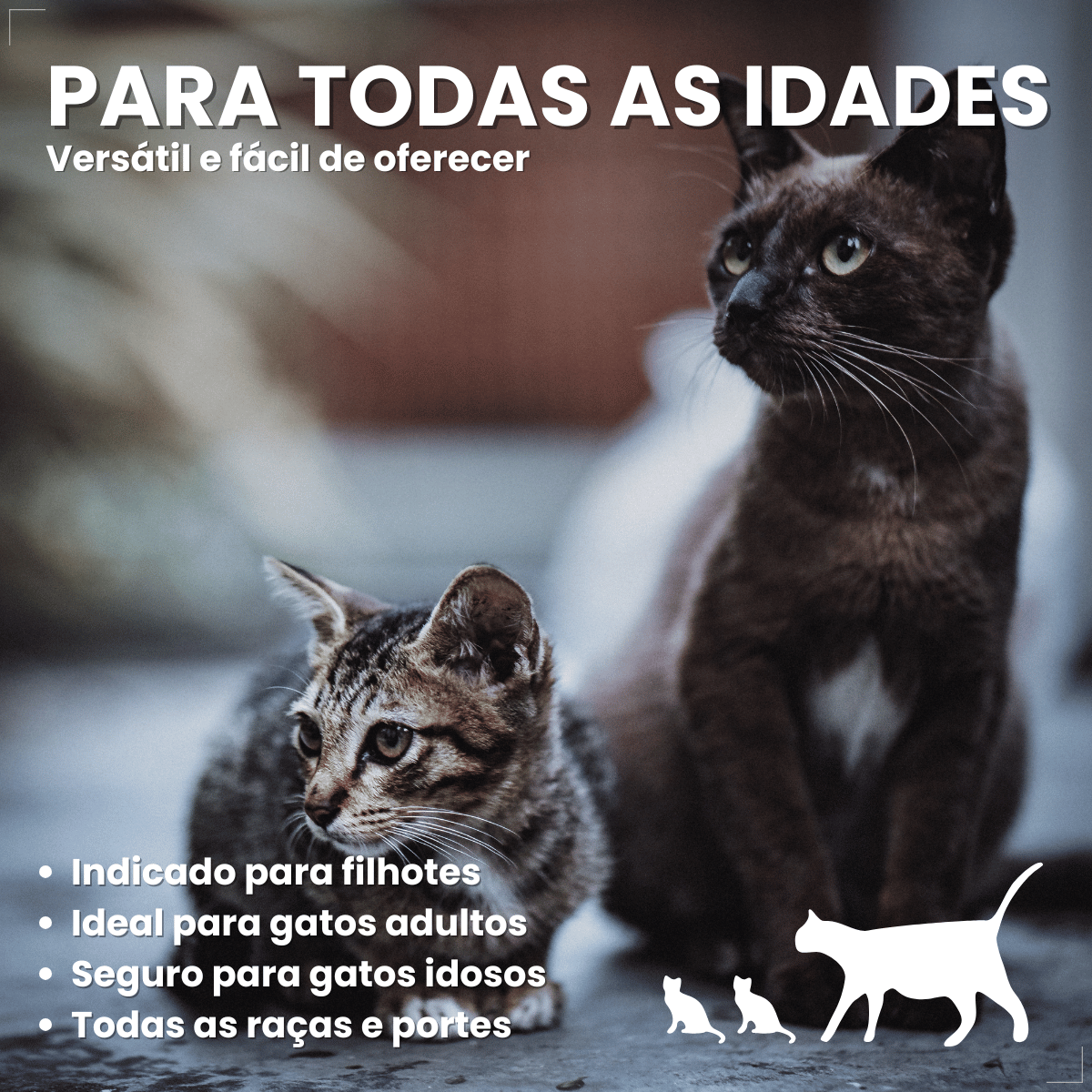 Kit 6 Petisco Origens Para Gatos Creminho 60g