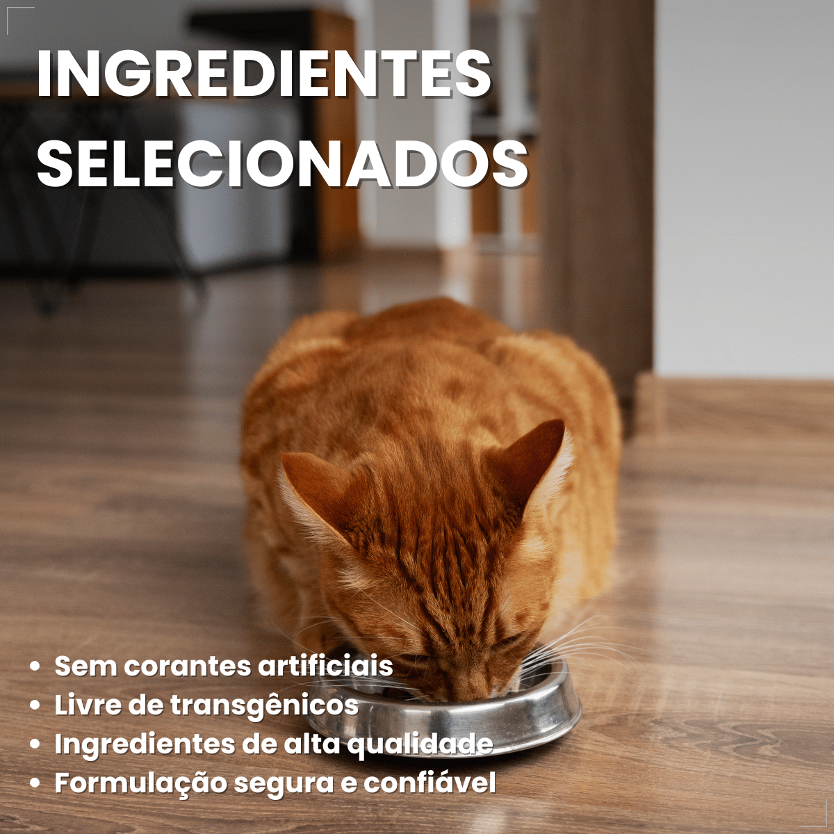 Petisco Origens Para Gatos Creminho 60g