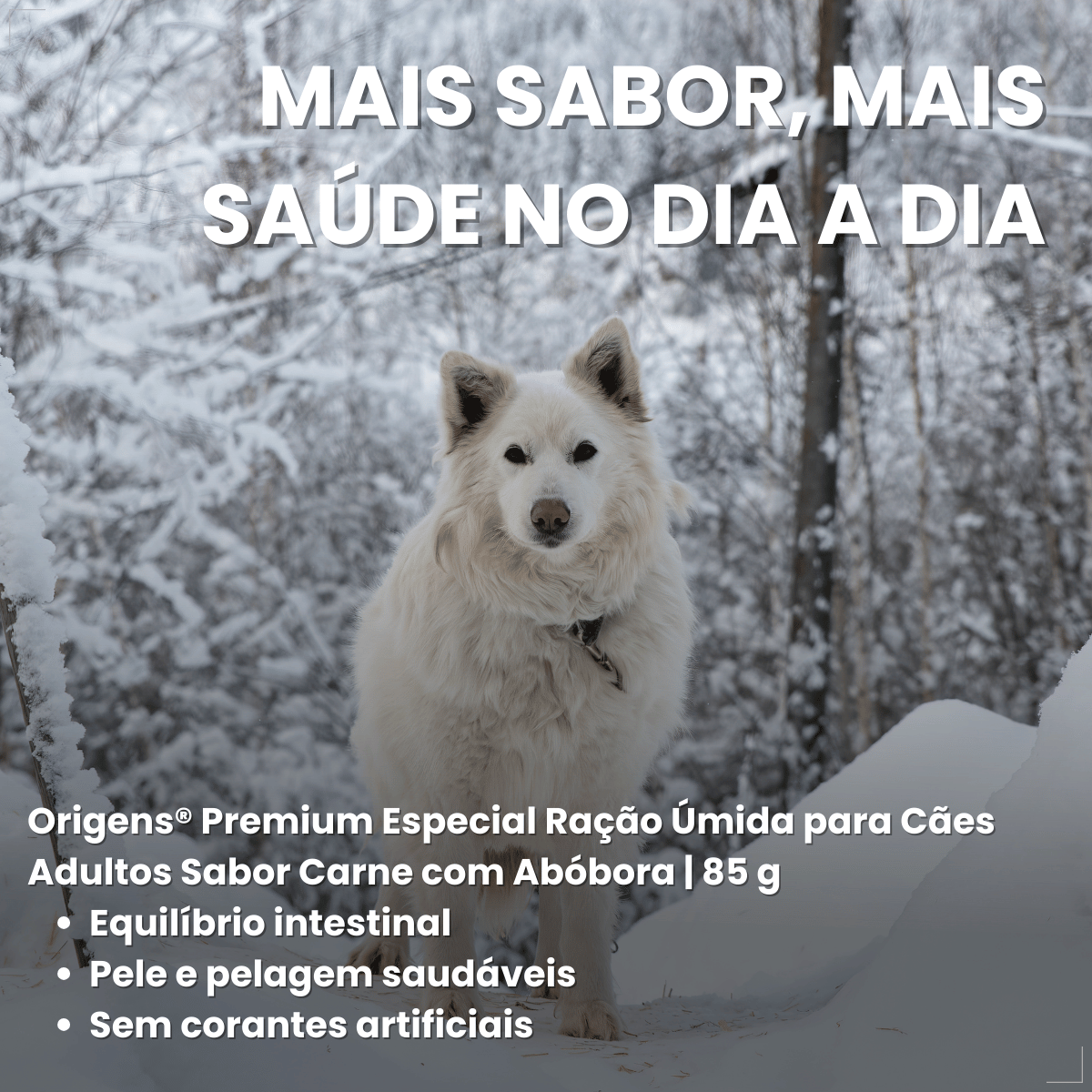 Kit 18 Ração Úmida Sachê Origens Cães Adulto Filhotes 85g