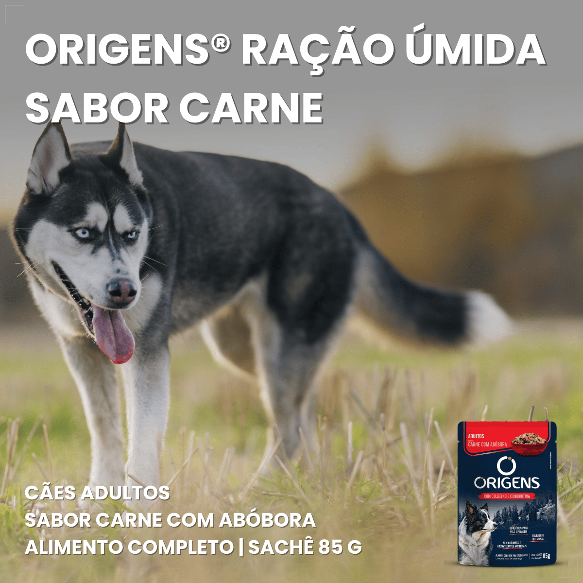 Kit 18 Ração Úmida Sachê Origens Cães Adulto Filhotes 85g