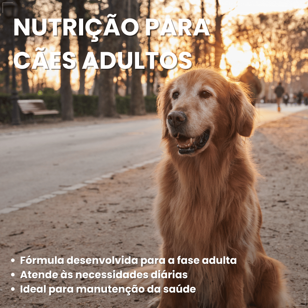 Kit 18 Ração Úmida Sachê Origens Cães Adulto Filhotes 85g