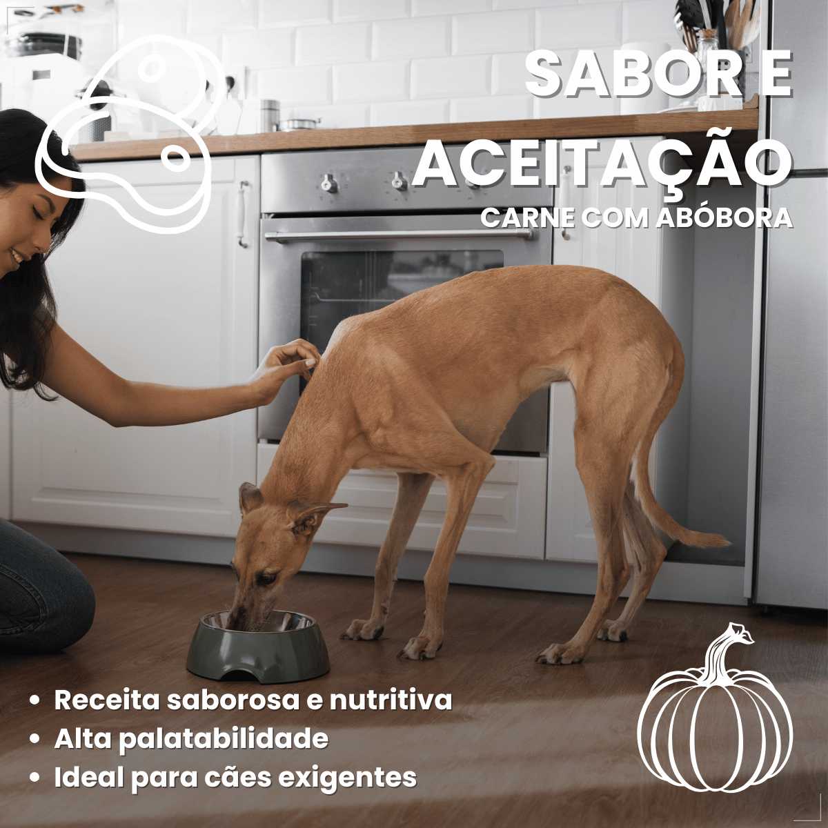 Kit 18 Ração Úmida Sachê Origens Cães Adulto Filhotes 85g