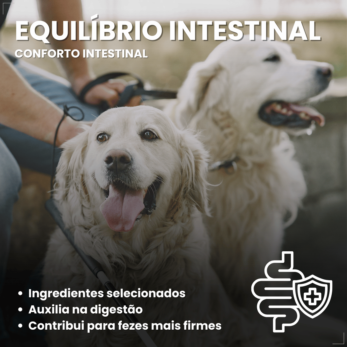 Kit 18 Ração Úmida Sachê Origens Cães Adulto Filhotes 85g