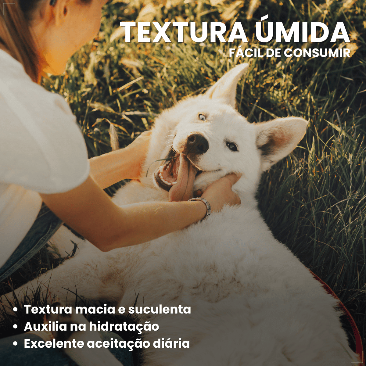 Kit 18 Ração Úmida Sachê Origens Cães Adulto Filhotes 85g
