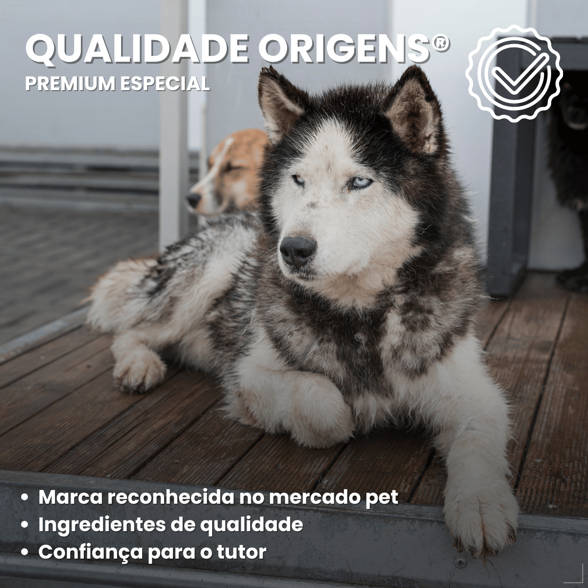 Kit 18 Ração Úmida Sachê Origens Cães Adulto Filhotes 85g