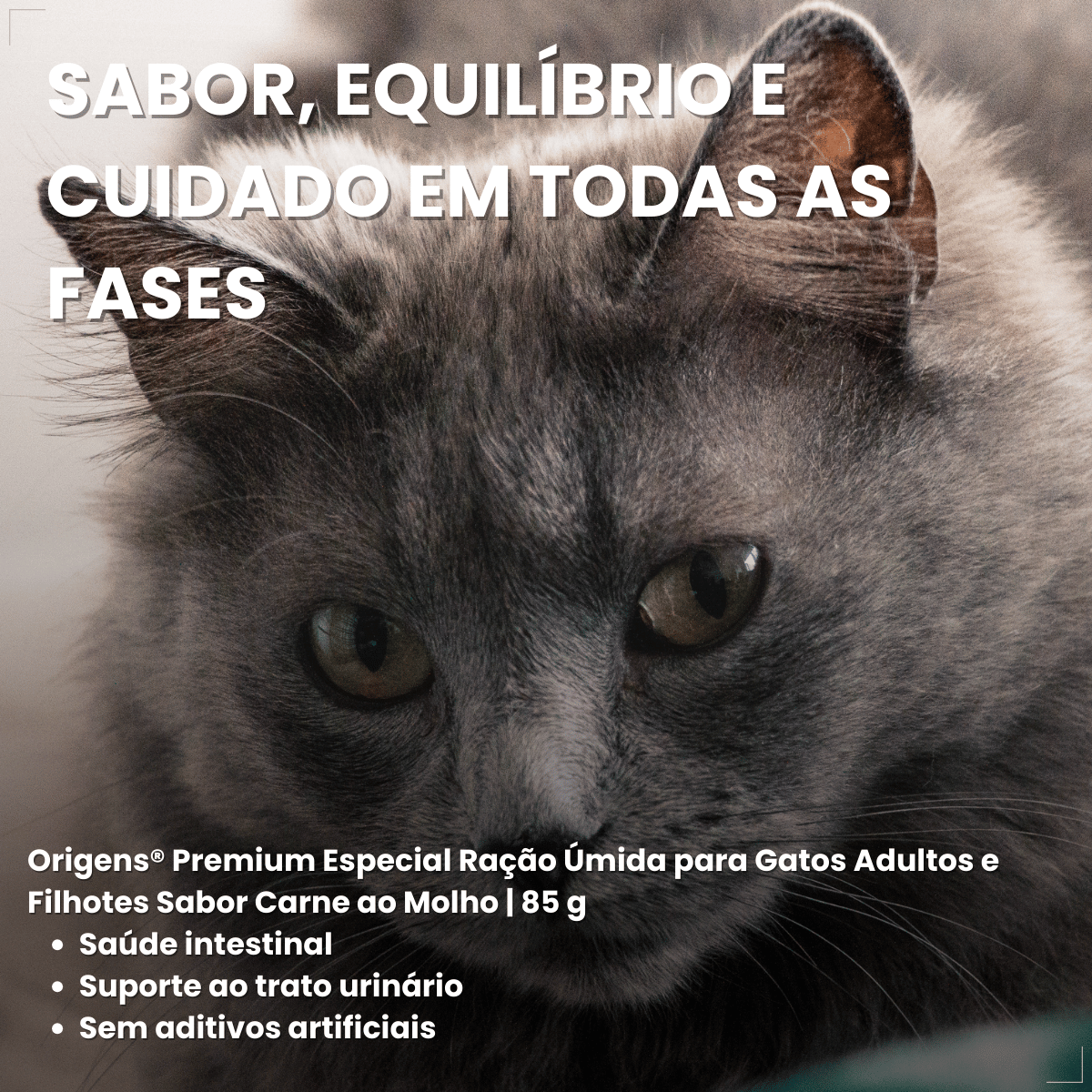 Kit 18 Ração Sachê Origens Gatos Adulto Filhote Castrado 85g