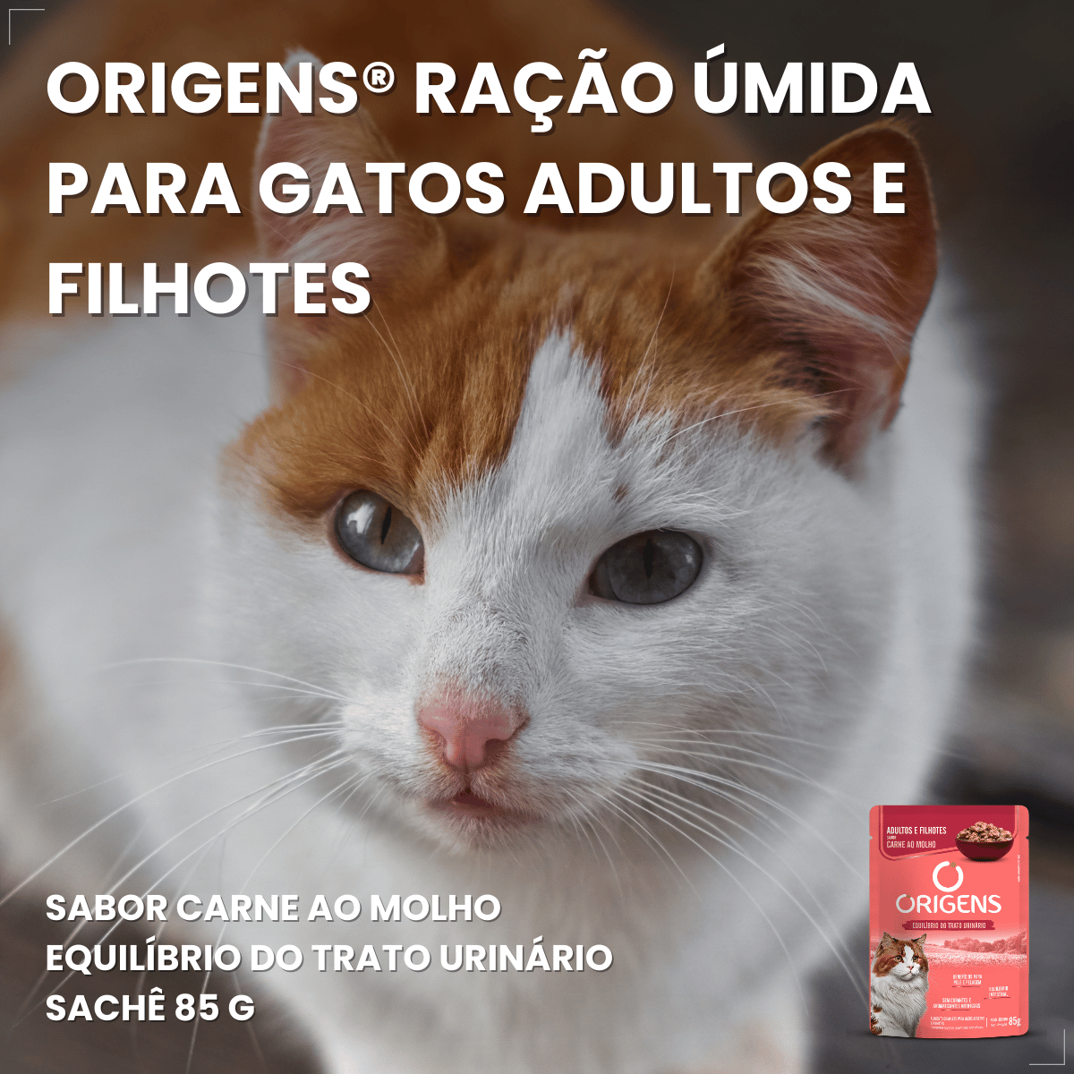 Kit 18 Ração Sachê Origens Gatos Adulto Filhote Castrado 85g