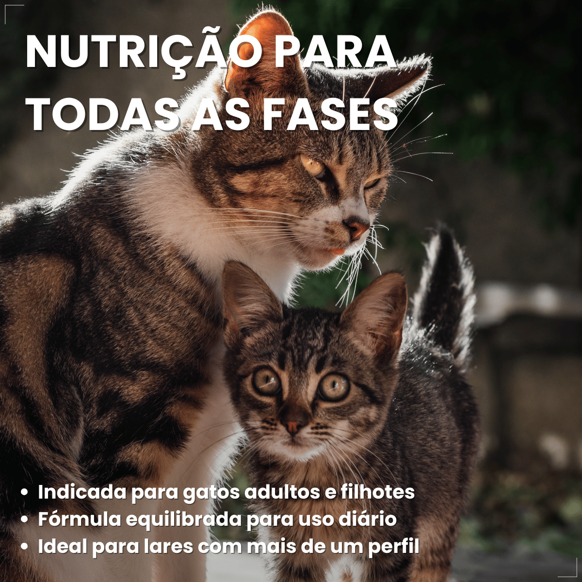 Kit 18 Ração Sachê Origens Gatos Adulto Filhote Castrado 85g