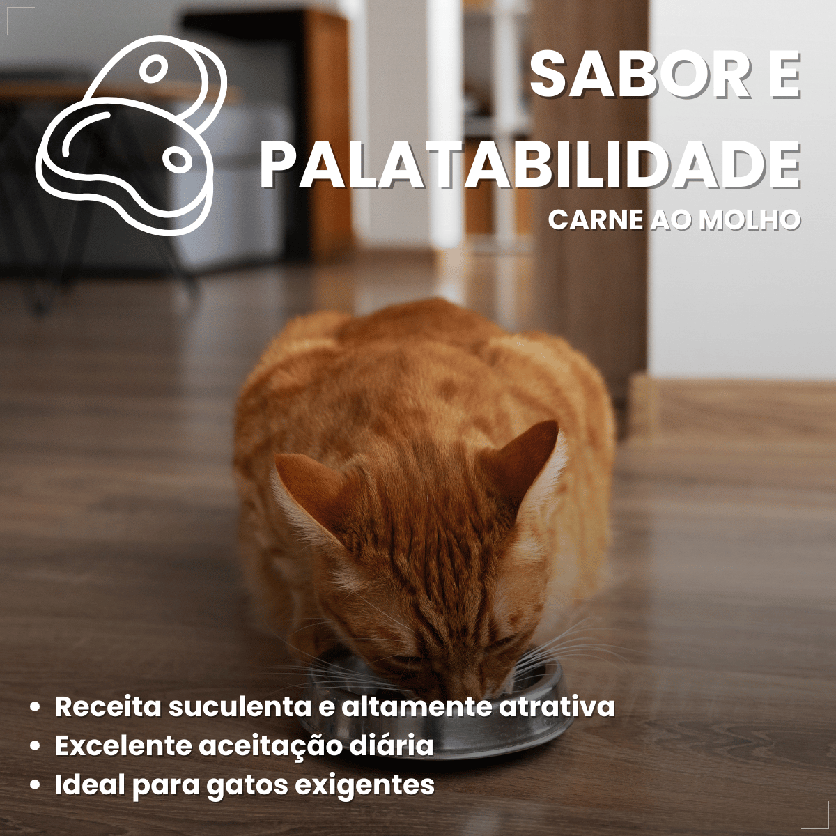 Kit 18 Ração Sachê Origens Gatos Adulto Filhote Castrado 85g