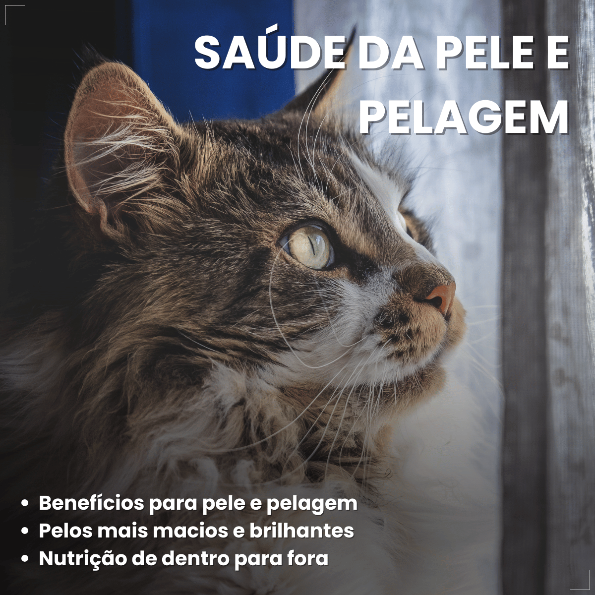 Kit 18 Ração Sachê Origens Gatos Adulto Filhote Castrado 85g