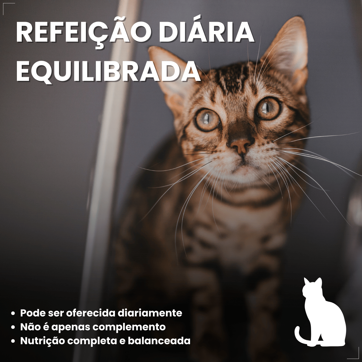 Kit 18 Ração Sachê Origens Gatos Adulto Filhote Castrado 85g