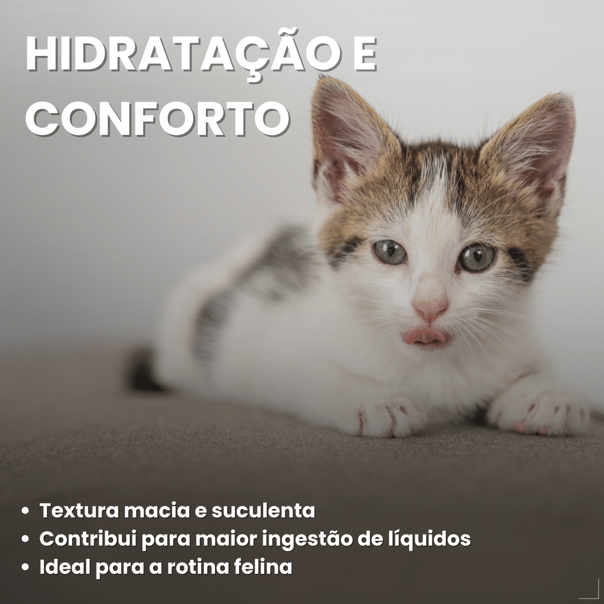 Kit 18 Ração Sachê Origens Gatos Adulto Filhote Castrado 85g