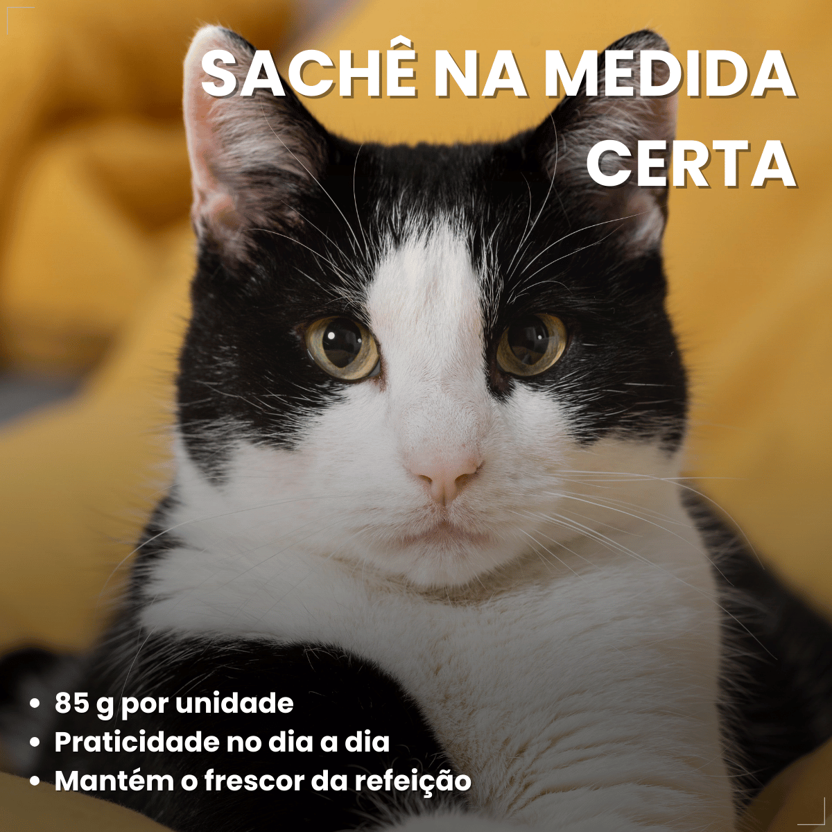 Kit 18 Ração Sachê Origens Gatos Adulto Filhote Castrado 85g