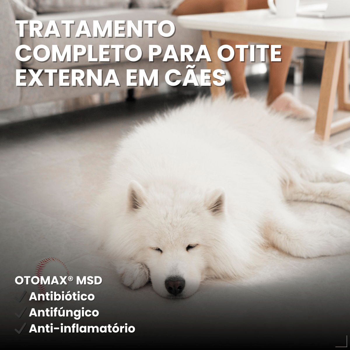 Otomax Pomada Otológica Para Otite Em Cães Msd 12,5g