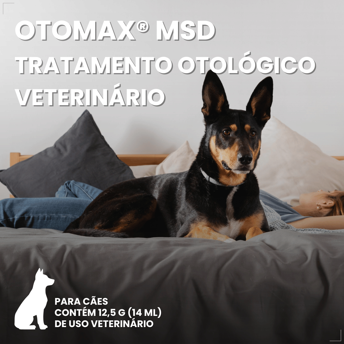 Otomax Pomada Otológica Para Otite Em Cães Msd 12,5g