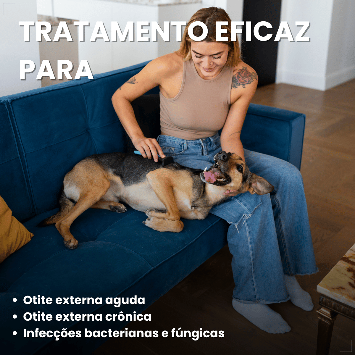 Otomax Pomada Otológica Para Otite Em Cães Msd 12,5g