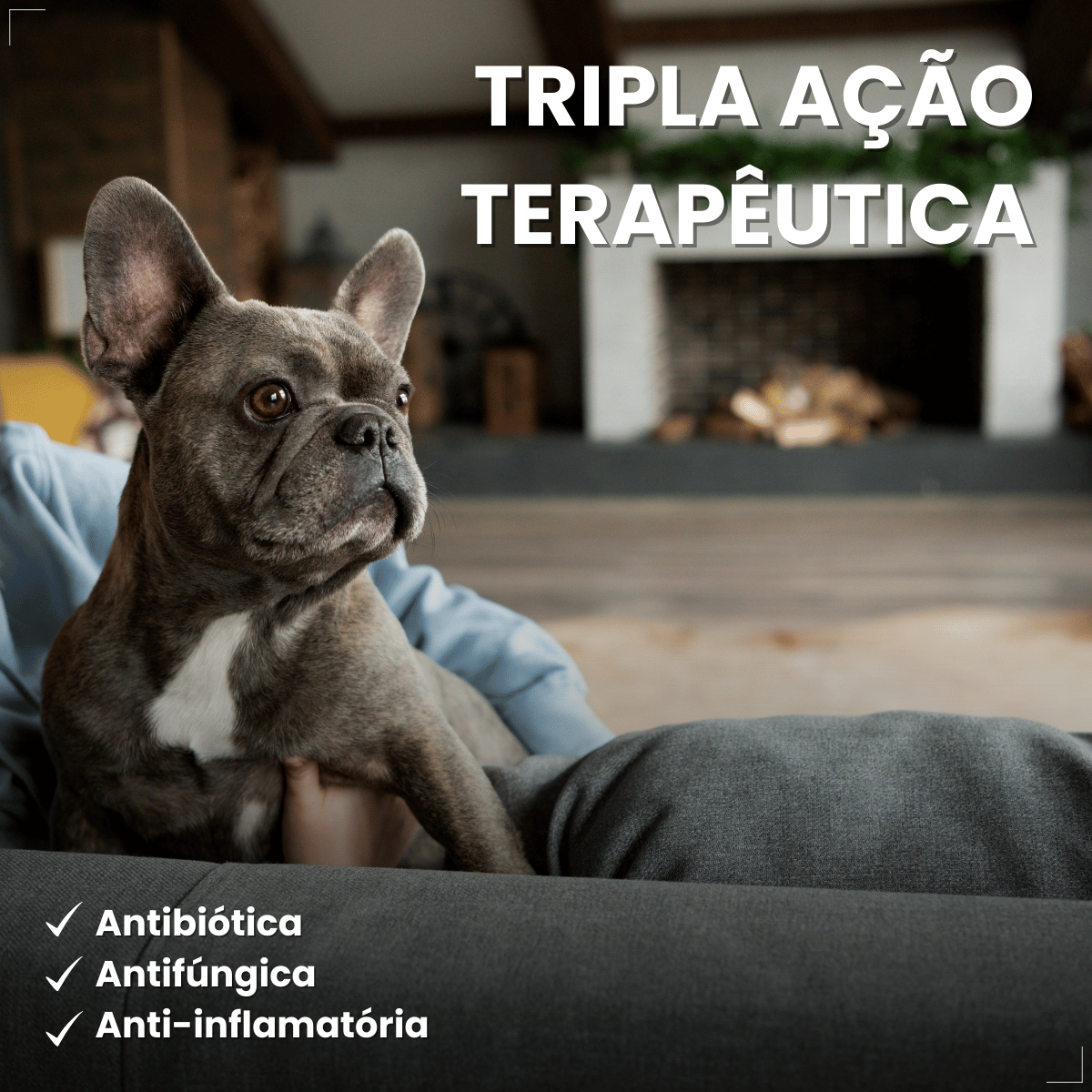 Otomax Pomada Otológica Para Otite Em Cães Msd 12,5g