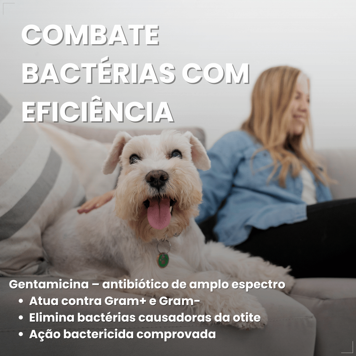 Otomax Pomada Otológica Para Otite Em Cães Msd 12,5g
