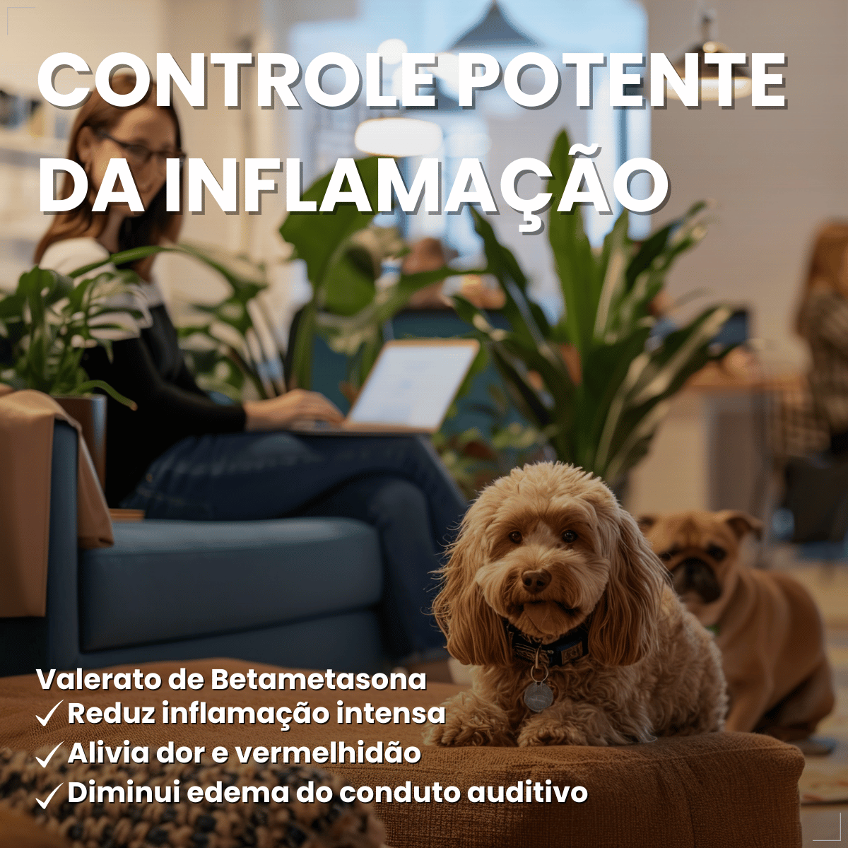 Otomax Pomada Otológica Para Otite Em Cães Msd 12,5g