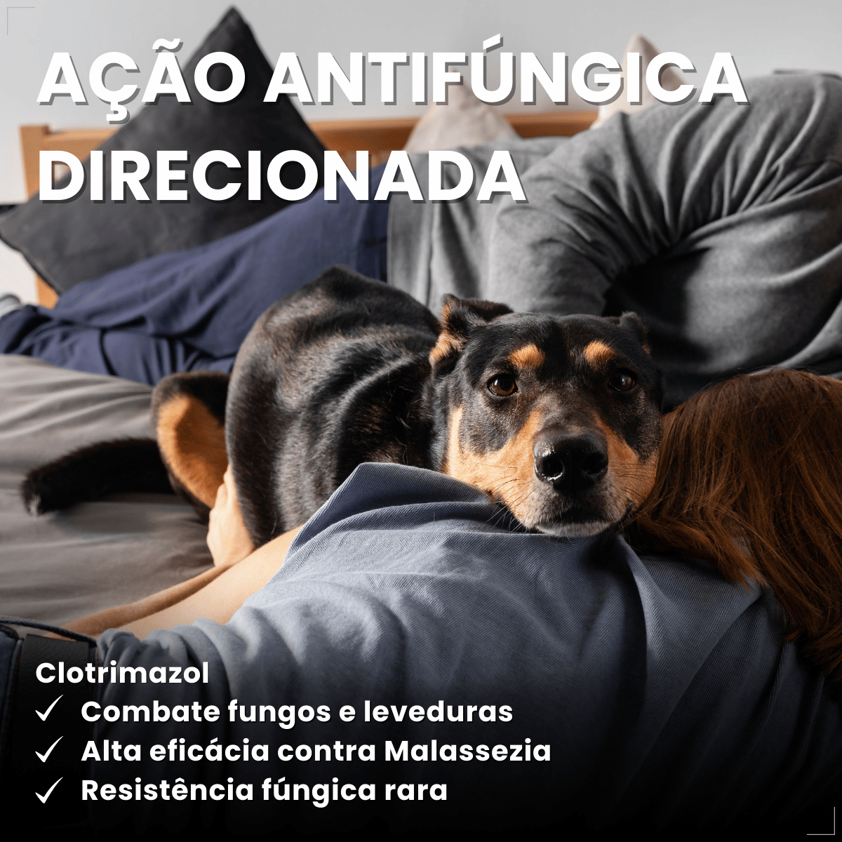 Otomax Pomada Otológica Para Otite Em Cães Msd 12,5g