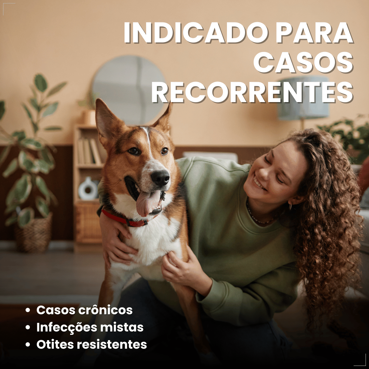 Otomax Pomada Otológica Para Otite Em Cães Msd 12,5g