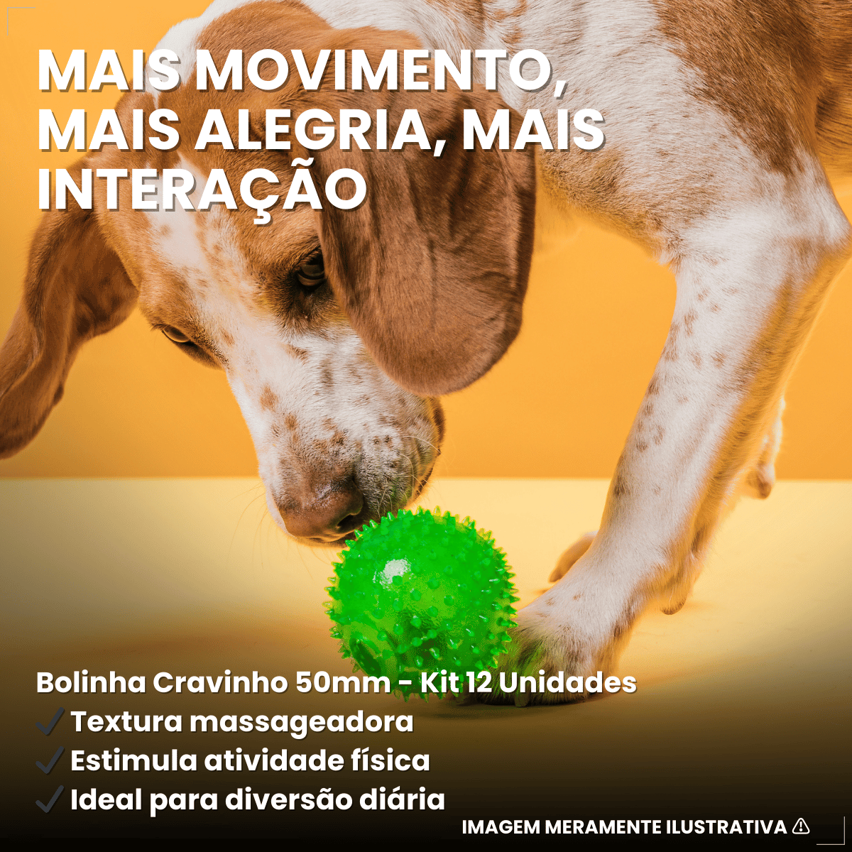 Pacote Bolinha Cravinho Para Cães C/12 - Cores Sortidas 50mm